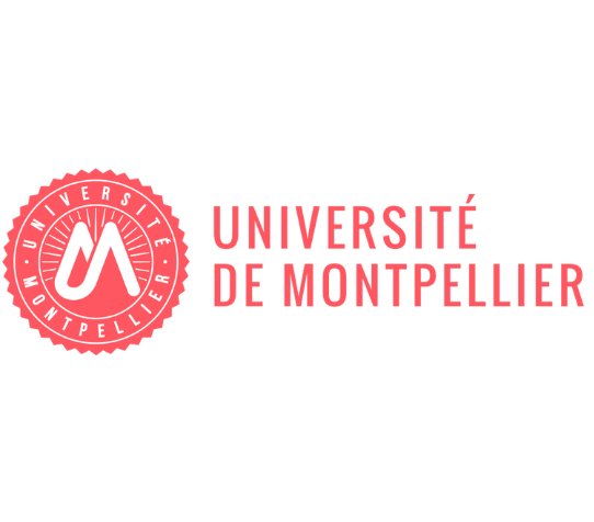 Accompagnement montage dossiers de subventions