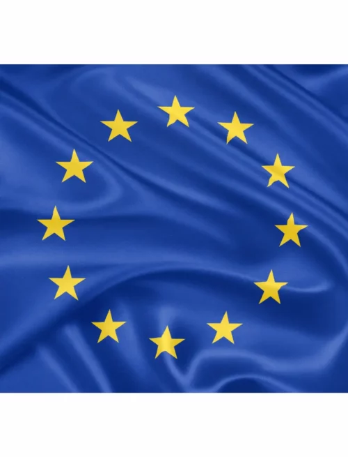 Accompagnement expert en subventions européennes FSE+ et FEDER